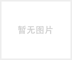 PA2504黄铜叶片泵